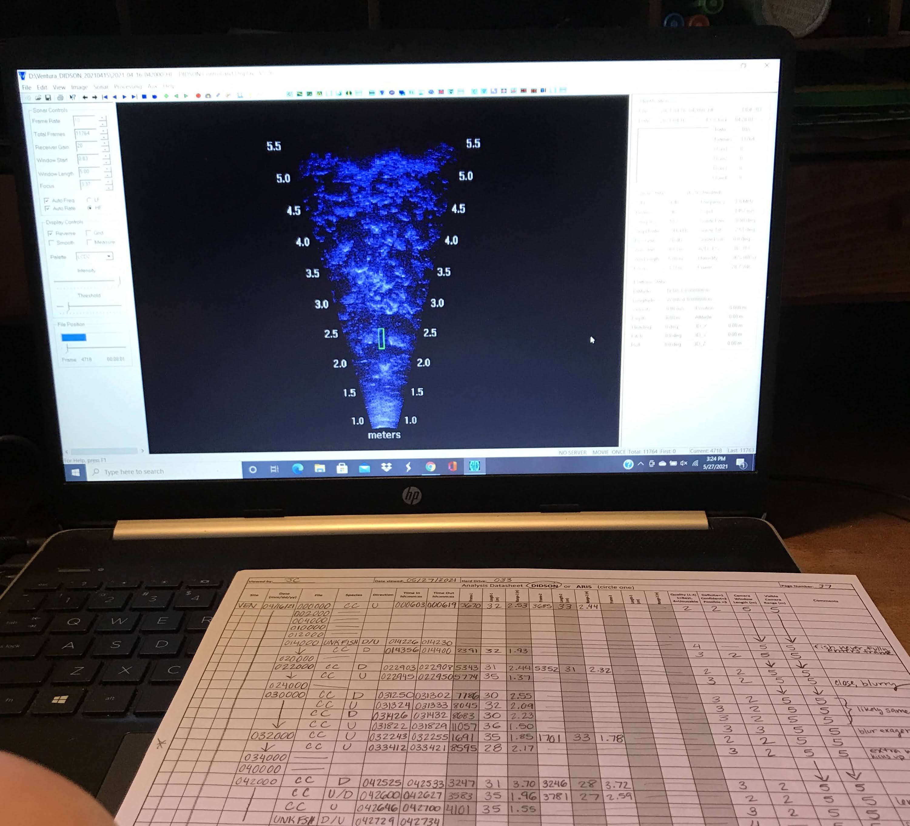 Data entry: reviewing sonar footage for steelhead trout, but mainly recording other native fish, chub, debris, and the occassional water bird or freshwater turtle.