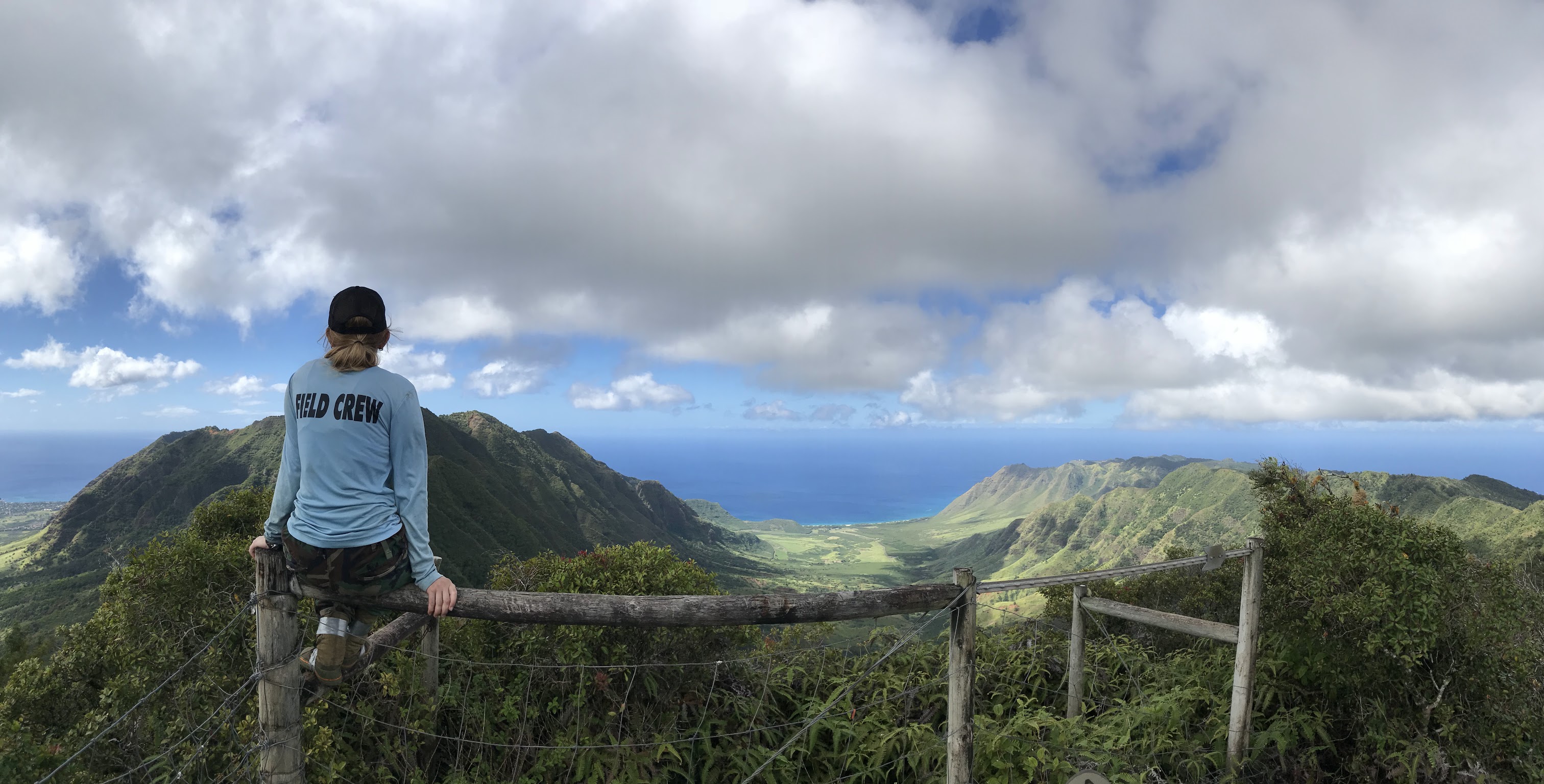 Admiring the views from the Wai’anae Mountains as we surveyed for the invasive plant species Chromolaeana odorata.