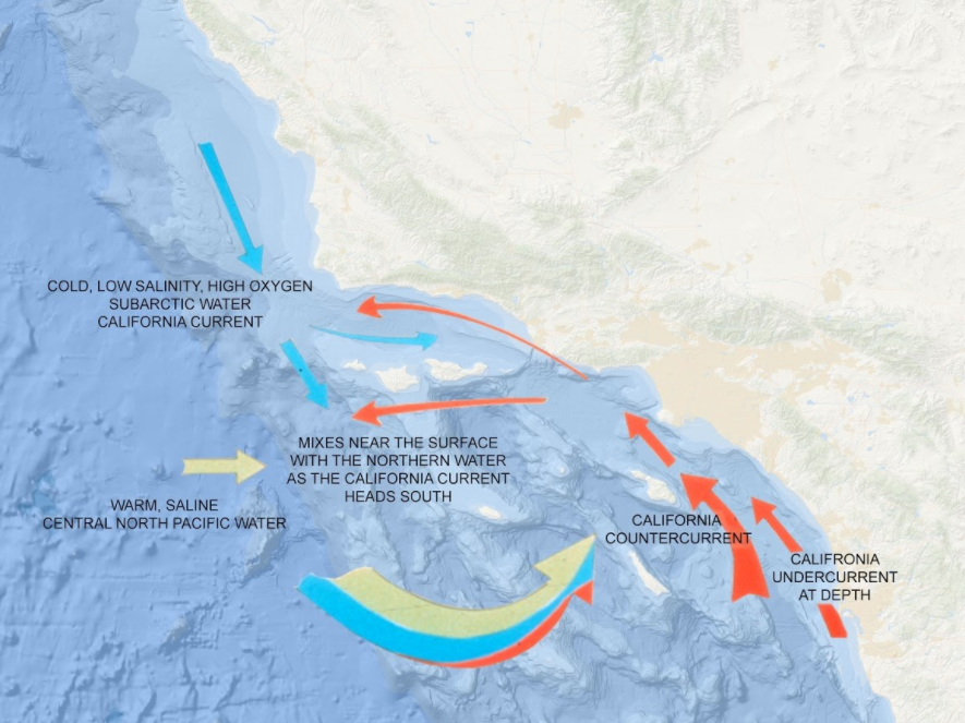 Santa Barbara Channel currents and all eight channel islands (from west to east): San Miguel Island, Santa Rosa Island, Santa Cruz Island, Anacapa Island, San Nicolas Island, Santa Barbara Island, Santa Catalina Island, San Clemente Island (1).